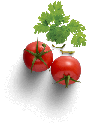 Persil et tomate pour un repas italien